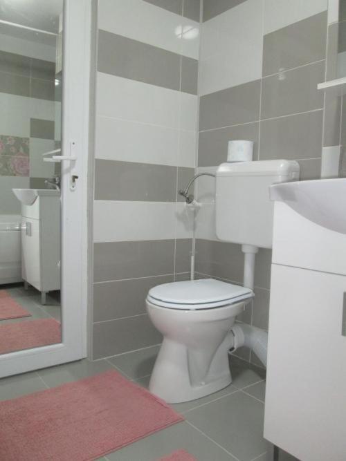 Apartament Sarra トゥルゴヴィシュテ エクステリア 写真
